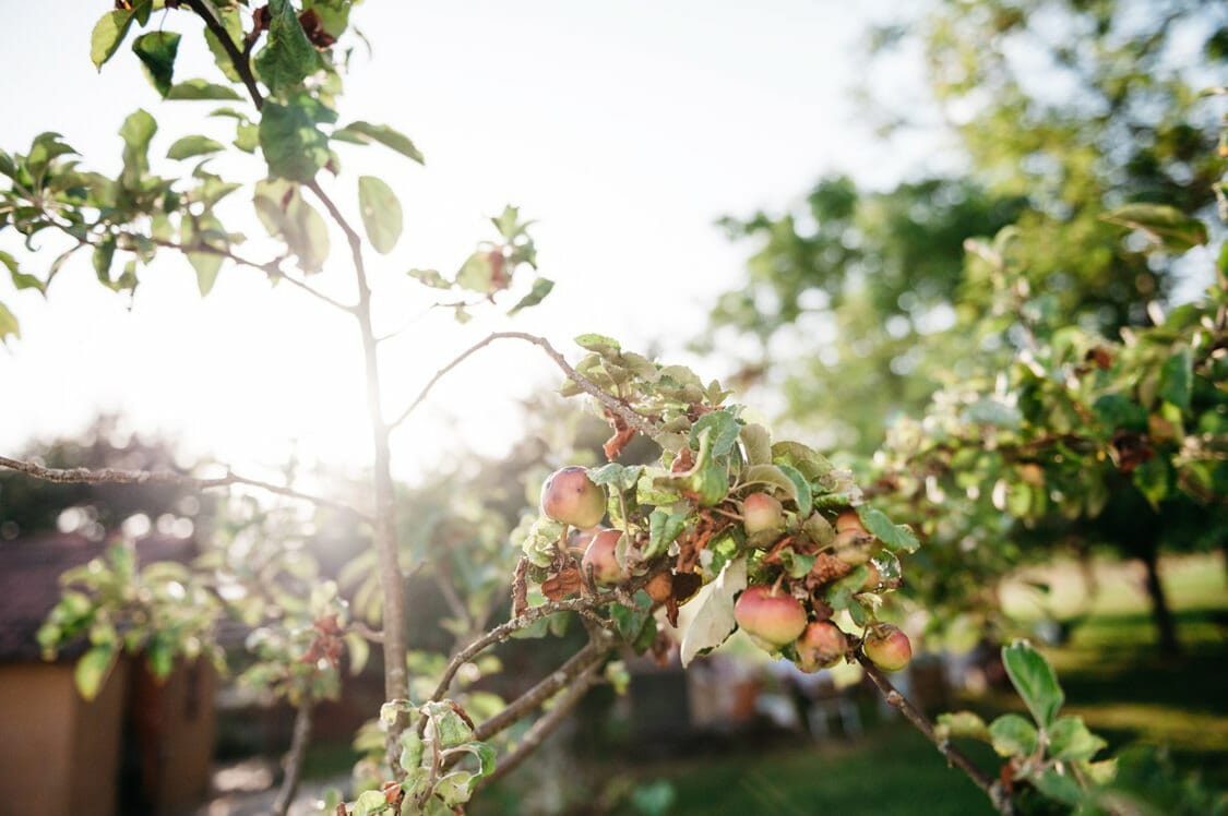 Hochzeit Burgenland Garten Alternativ Sfinks Bauernhof 40
