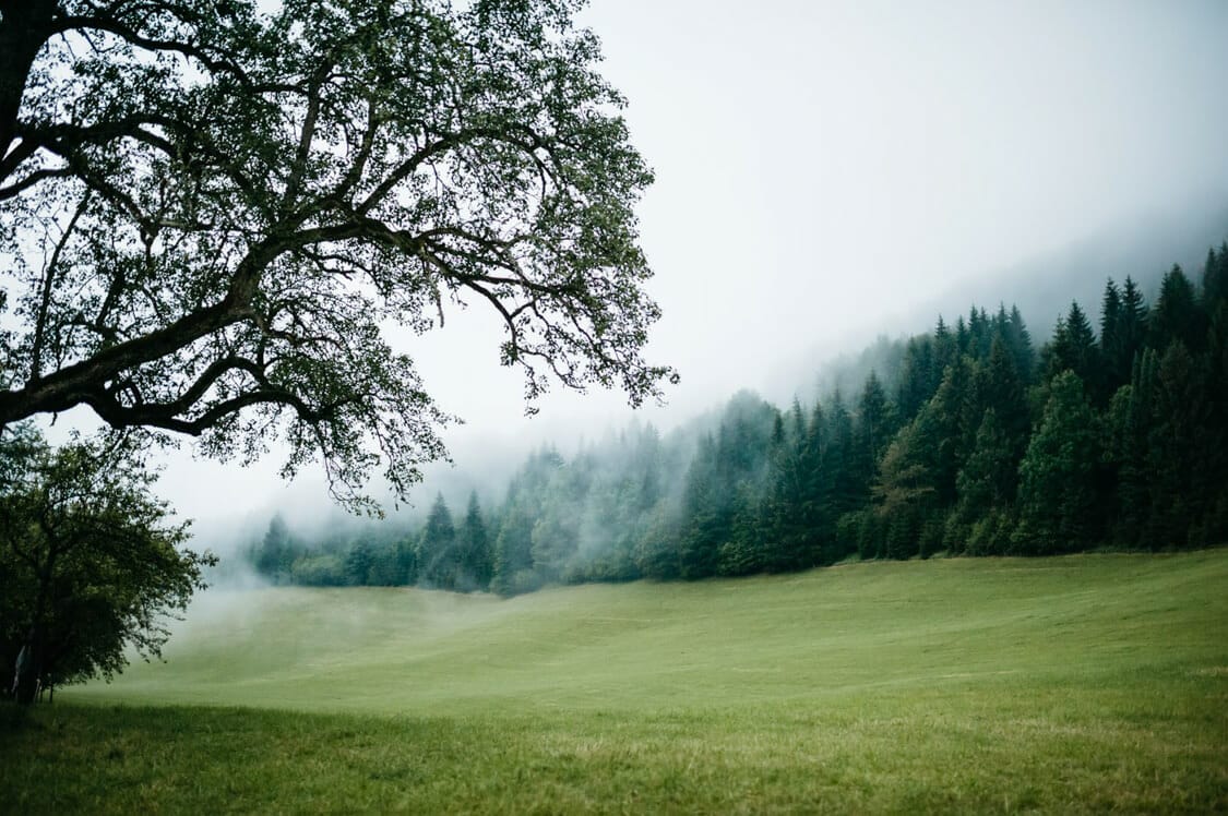 Hochzeitsfotograf Hochzeit Alm Berge Obersteiermark Vintage Tom Schuller 70