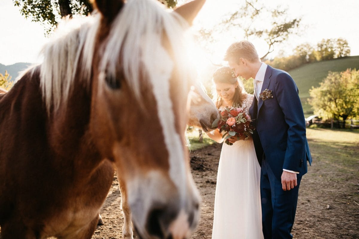 Pferde bei Sonnenuntergang mit lachendem Brautpaar